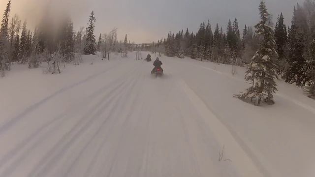 Lynx 49 Ranger 600 E-tec смотреть онлайн