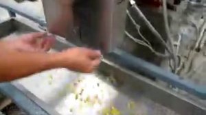 оборудование для  макарон-ракушек