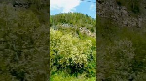 Матушка Россия !