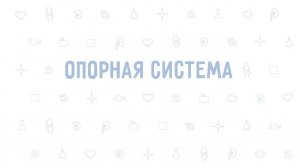 2. Опорная система . Окружающий мир - 3 класс