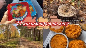 Прошли 11 КМ с РЕБЁНКОМ / Купили КАРТОШКУ / Вечерний БАЛАГАН на кухне ?