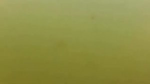 Башкирия, река Сим в районе деревни Куяшкино