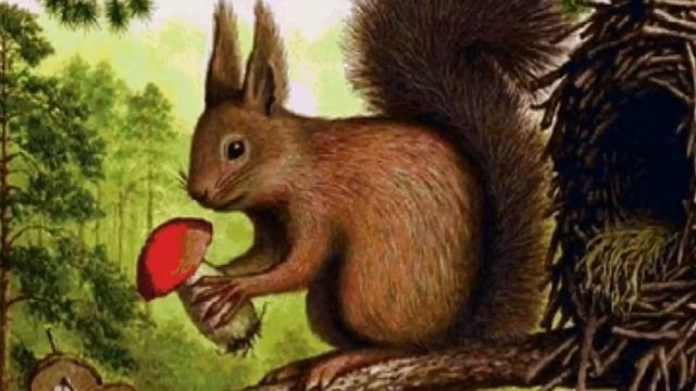 Занятие по ознакомлению с окружающим миром в средней группе "Животный мир осенью" смотреть онлайн