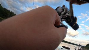 Рыбалка на Кольском полуострове! Ловля ГОРБУШИ на реке ВАРЗУГА на поплавочную снасть!