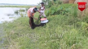 Fish Hunting Fairs | Bangladesh Fishing Videos | Village Fishing Catching using by Net