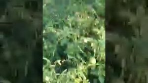 4 способа заработать на огороде