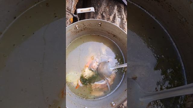 Изотоник со вкусом рыбы. смотреть онлайн