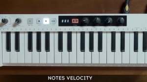 Arturia KeyStep 37 | Обзор на русском