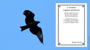 Ф. Тютчев "С поляны коршун поднялся".mp4