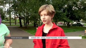 Мини-пиг дома: содержание и уход