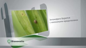 Видеовизитка продукции. Компания Bionovatic