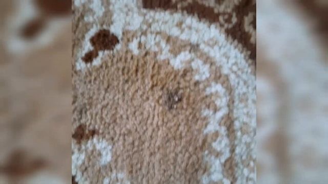 Как удалить пятно на ковре|Чистка ковра смотреть онлайн