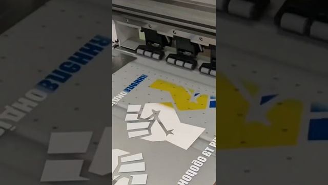 DTF printer Audley. DTF печать. ДТФ принтер Украина