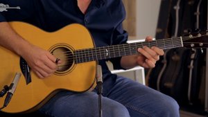 Blue Moon - Tommy Emmanuel (cover by Tim Van Roy)