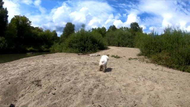 Сплав на сапах по р. Жилиха лето 2022 смотреть онлайн