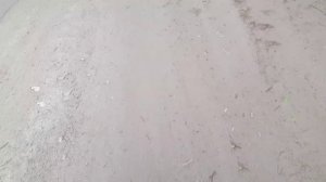Весенний поиск металла на обочине дорог....