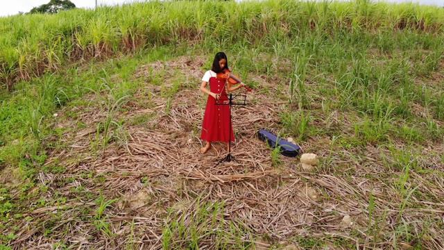 Lead Me Lord Violin Cover смотреть онлайн