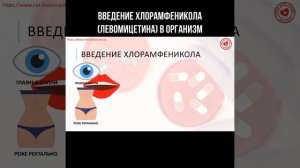 Введение Хлорамфеникола (Левомицетина) в организм #хлорамфеникол #левомицетин #антибиотик