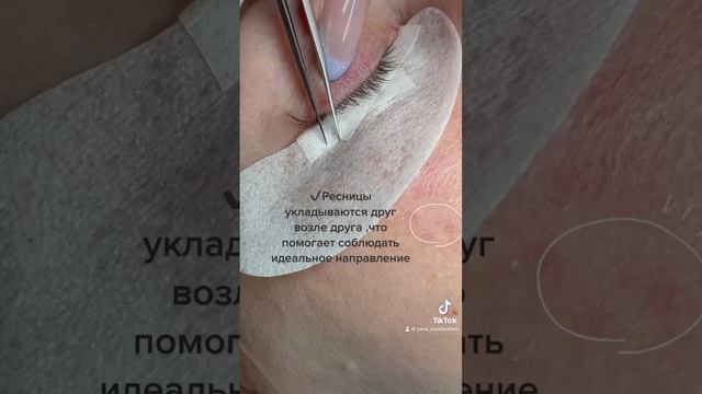 #наращиваниересницобучение #ресницы #ресницыобучение #лешмейкер #ресницымосква #лешмейкеробучение