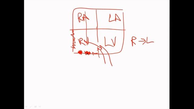 Pathoma USMLE - VIII ГЛАВА - Врождённые Нарушения