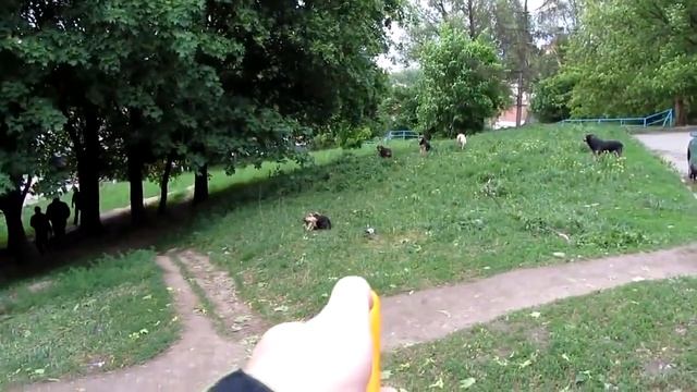 Ультразвуковой отпугиватель собак AD 100 в действии