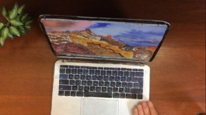 MacBook Pro ИЗ КАРТОНА| how to make a  Apple macbook