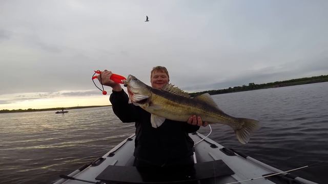 Жопетус - он же крупный судак! смотреть онлайн