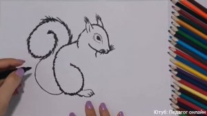 Как нарисовать БЕЛКУ. Пошагово. Урок рисования для детей и для начинающих. How to draw a squirrel