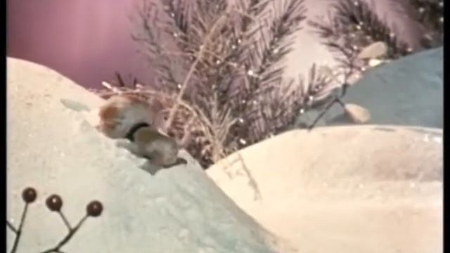 ВОЛШЕБНЫЙ МАЯЧОК Как Чак и Чок провели каникулы 508 выпуск 2011 г. смотреть онлайн