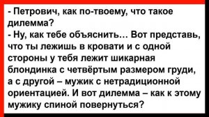 Молодая монашка в лесу попалась в лапы к разбойникам... Анекдоты! Юмор! Позитив!