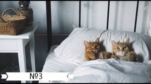 Как экономить свое время?5 способов