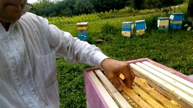 Магазин на 9 рамок с OSB 10мм смотреть онлайн