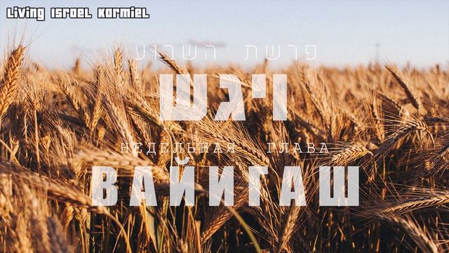 Недельная глава Вайигаш (Современный русский перевод) смотреть онлайн
