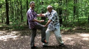 «Толкнуть, оперевшись на гору», «Блок рукой с ударом коленом» и «Ленивый дракон спит на подушке»