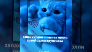 Запах сирени - Пошлая Молли [speed up/инструментал]