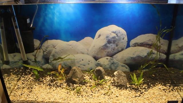 Как поместить рыбку в новый аквариум Аквариумная химия. How to put the fish into a new aquarium. смотреть онлайн