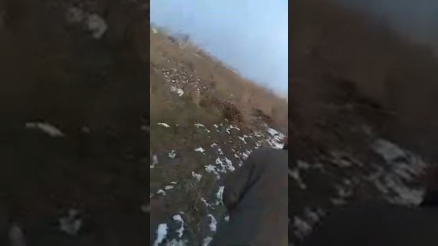 Кашкадарё вилояти Косон тумани Куйи Оброн кишлоги