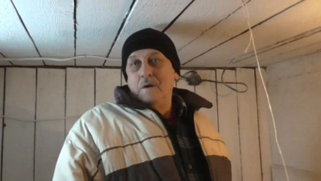Куры   несушки | Какую породу кур выбрать |  Наш опыт.
