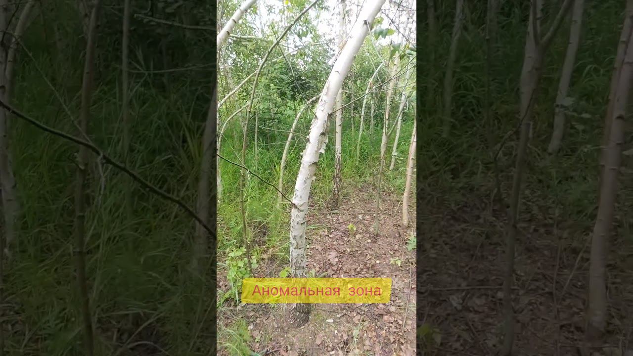 Аномальная зона смотреть онлайн