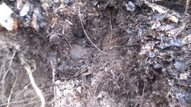 Огромная воронка с бойцами РККА. Раскопки в Рамушевском коридоре смерти. смотреть онлайн