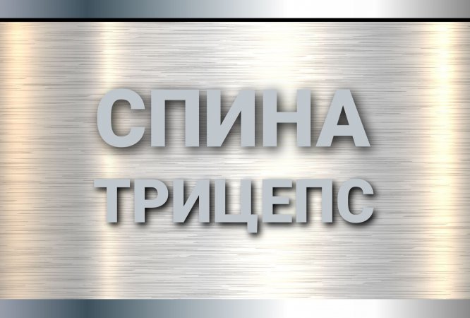 Тренировка спины