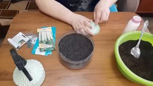 ЛУК из Семян? Выращивание ЛУКА от ПОСЕВА до УБОРКИ? Посев ЛУКА ПОРЕЯ??