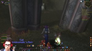 WoW Kronos 2 - 2-ая локация за Эльфов, Начинаю делать все квесты, 11-12 #6