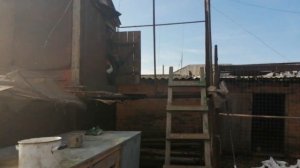 ГОЛУБИ // В ГОСТЯХ.У НАГОВИЦКОГО.А.П. РОСТОВСКАЯ ОБЛ. С. ЕКАТЕРИНОВКА..5.11.19.