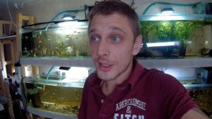 КАК ОТСАЖИВАТЬ РЫБ В НЕРЕСТОВИК? КАК ЭТО ДЕЛАЮ Я!