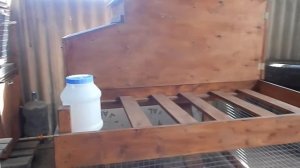 Курятник на 10 кур