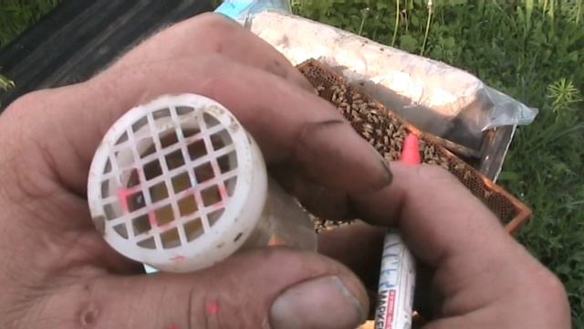 ✅Как сделать отводки для пчёл смотреть онлайн