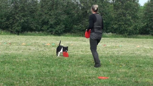 Frisbee Freestyle Юля и Пегас.mp4