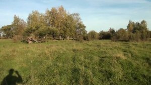 Удивительные находки в старой деревушке .Я такого не ожидал.Коп старины с металлоискателем