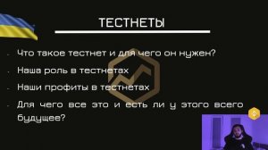 Что такое ноды в криптовалюте и Как заработать на тестнетах?